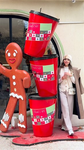 ‎مریم ضیائی‎ on Instagram‎: "باورم نمیشه تونستم تو نیم ساعت حاضر بشم😂🦦 . . . #مریم_ضیائ#ولاگ#کریسمس#دختر#عکاسی#ایده#لایف_استایل#استایل"‎