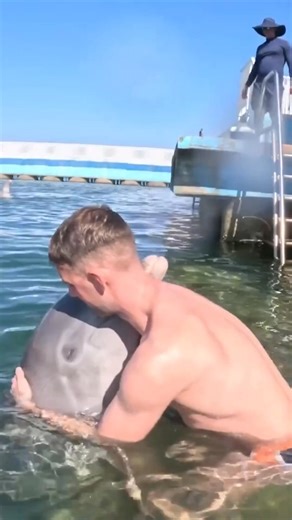 Man shares a heartwarming hug with a dolphin! | 5-Minute Crafts GIRLY