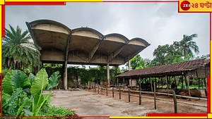 Ashoknagar Kalyangarh: মাত্র কয়েকবছর আগে আপনার জানলার পাশেই নামত ব্রিটিশ বিমান! অবহেলায় ইতিহাস...