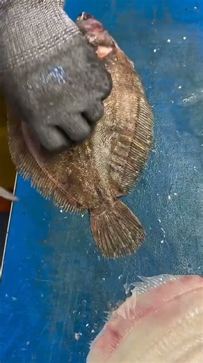 🐟 Giant Flatfish Catch! Amazing Sea Fish Cutting & Cleaning 😱