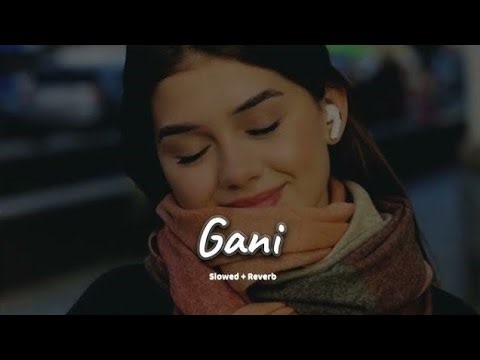 Gani (Slowed + Reverb) - Akhil