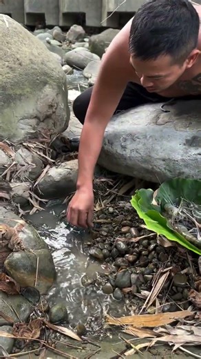 Catching Giant River Prawns by Hand Under Rocks | Ultimate Survival Fishing Skills