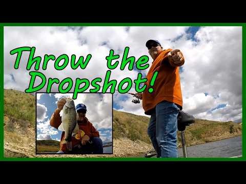 The Dropshot is King at Castaic Lake (at least for right now).