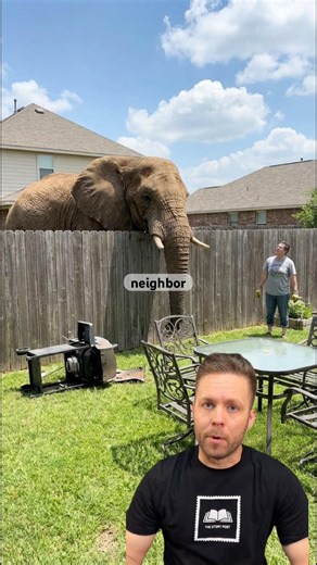 The history of private zoos is wilder than you think!