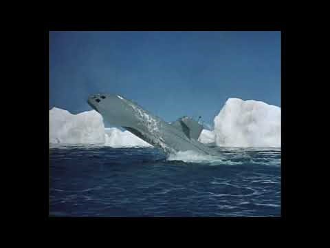 Voyage To The Bottom Of The Sea . Seaview Surfaces.