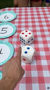 Perfect Game for a Picnic 🧺 Great family game with giant dice. Match the number to the plate and win a prize. One prize is not so good. (for entertainment purposes) | Peter B