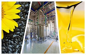 [Hot Item] Sunflower Seed Oil Processing Plant