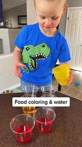 Color changing lettuce 🥬 Easy experiment to try out, we hope you love it too! #experimentsforkids #science | Kids Craft Barn