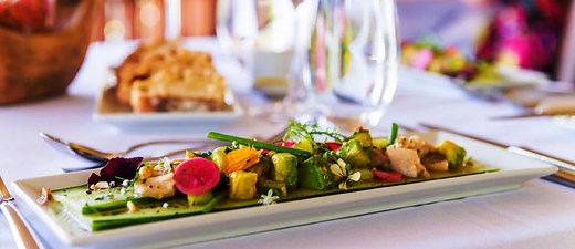 The Elephant Cafe - fine dining elephant experience - Zambia