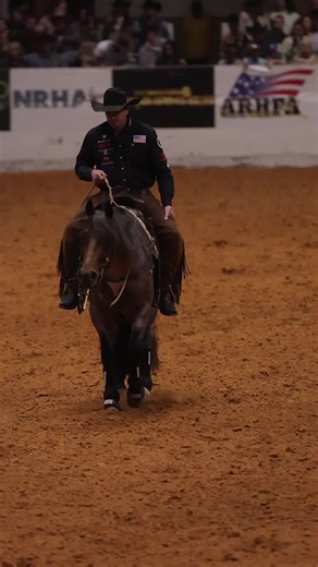 Discover the Charisma of Call Me Mitch