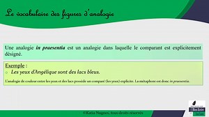 Vocabulaire des figures d'analogie | Bien écrire le français