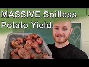 MASSIVE Hydroponic Potato Yield | Spud Life PhD