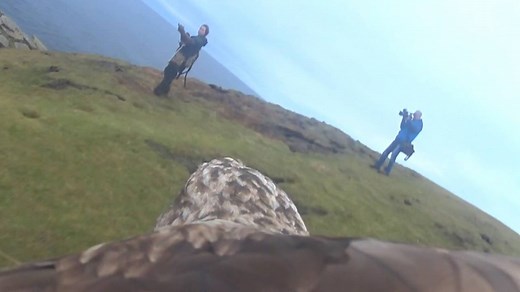 Get a true bird's-eye view of Scotland's seaside cliffs. | National Geographic