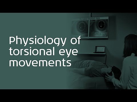 Physiology of torsional eye movements