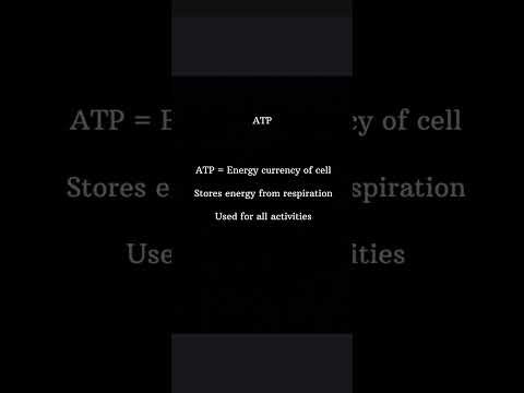 Class 10 Science Chapter 6 life Processes Full Chapter one shot in 10 Minutes +NCERT question s🔥