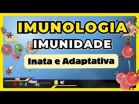 Introdução à imunologia - Características da imunidade Inata e Adaptativa [Atualizado]