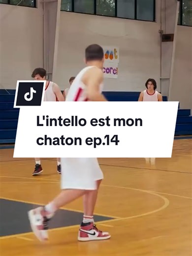 Oups ! l'intello est mon chaton 😍.Épisode 14. Liker, partager et abonner vous #fyp #pourtoiii #intello #lycee