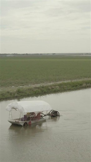 Crawfish Farming is Sustainable