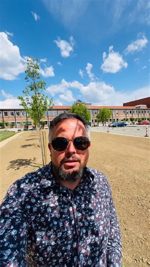 Acer Freemanii 🍁#spatiiverzi #peisagistică #plante #consultant #proiectare #flori #arbori #grădină #gazon | andreimarincean.ro