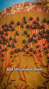 Wart Seeds 🤔 (explained) | Police 114 Reels