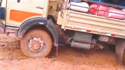 Skilled Logging Truck Transport Meets Heavy Equipment Fails