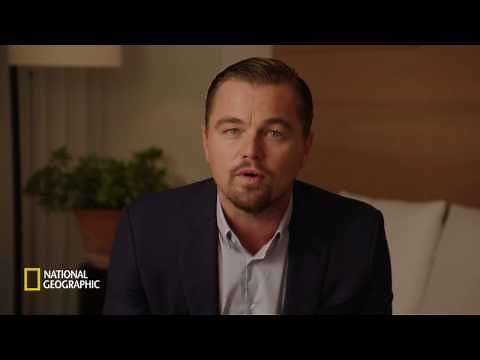 Watch Before the Flood | National Geographic UK