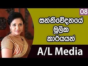 සන්නිවේදනයේ මූලික කාර්යයන් - [Communication & Media Studies - A/L]
