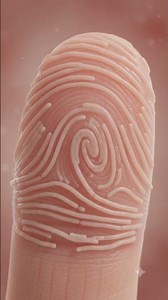 Why Do Fingerprints Never Match? 👆 | The Science of Human Uniqueness Explained