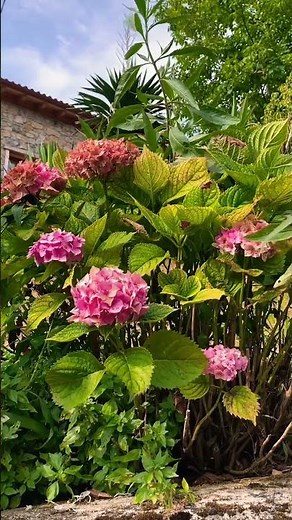 Relax and recharge at the stunning Basque coast ✨ #basquecountry #spaintravel #exploremore #relax