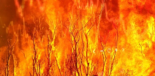Take care when examining the economic impact of fires.  GDP doesn’t tell the full story
