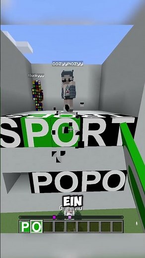 Was ist ein Poli? 🤨 #minecraft #gaming