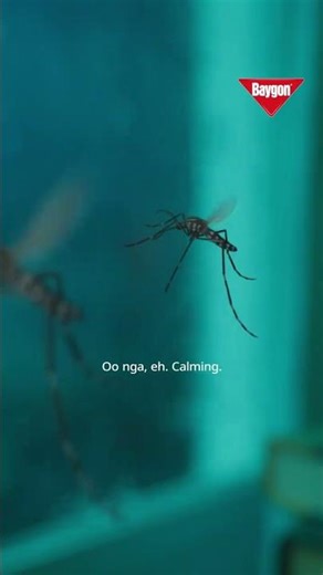 Baygon TV Ad Q2 2026 15s (Philippines, Version 2) [BCC/ST] #Shorts
