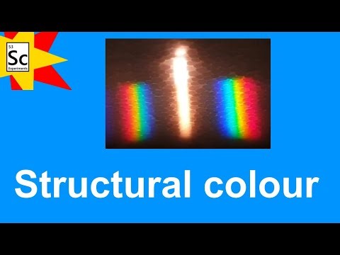 Structural colour | PHYSICS EXPERIMENTS |