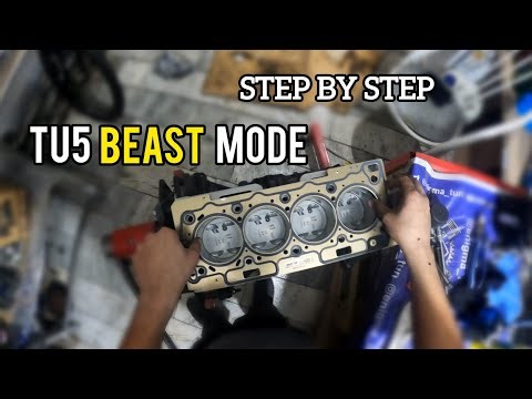 Full TU5 Engine Build – Peugeot 206