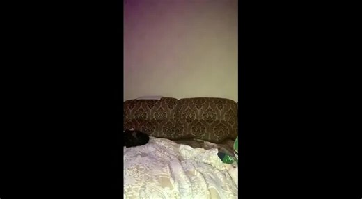 Tango Pulsz girls live (861) — Видео от Tango Live videos