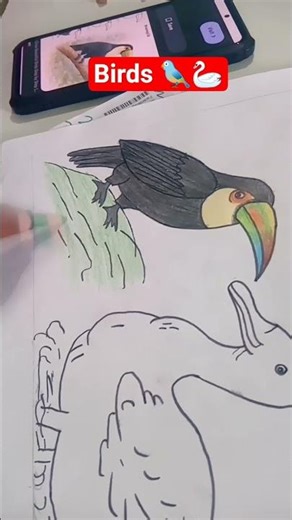 b.ed art & Graf#file🔥🔥🐦birds #trendingshorts