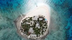 Experience the best of Fiji with an island stay right here at Beachcomber Island Fiji! Located on a lush marine sanctuary with loads of fun, sun and friendly atmosphere! Check out this video by @johnparrinello and shared by @aylin.snd ~ vinaka! #beachcomberislandfiji #fiji #fijiholiday #mamanucaislands | Beachcomber Island Resort