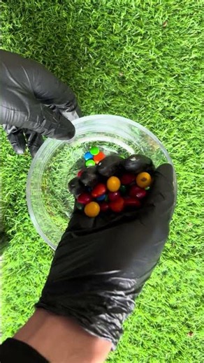 Colorful Candy Review | Crunchy Chocolate Candy Taste Test & Sweet Snack Challenge