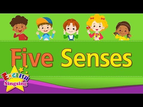 Five Senses - Kids vocabulary - Learn English for kids - English educational video
