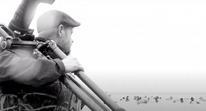 1.5K reactions · 208 shares | Mastering birds in flight can be on the biggest technical challenges you face in the world of wildlife photography. But nailing your autofocus settings is the first step in conquering this style of photography. In this video, I'm waist deep in the Choptank Rank on the Eastern Shore of Maryland to explain the most important thing you need to know about mastering birds in flight photography. | Jared Lloyd Photography | Facebook