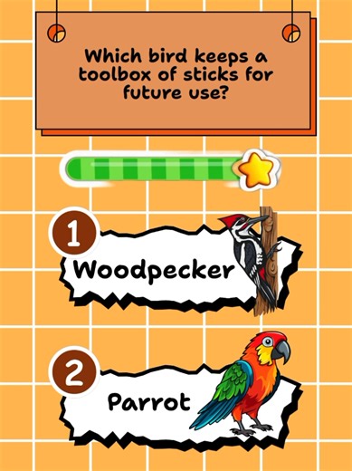 More than 90% people don't know the correct answer 😎 #quizrecess #dailyquiz #quickquizchallenge #animalquiz #triviachallenge