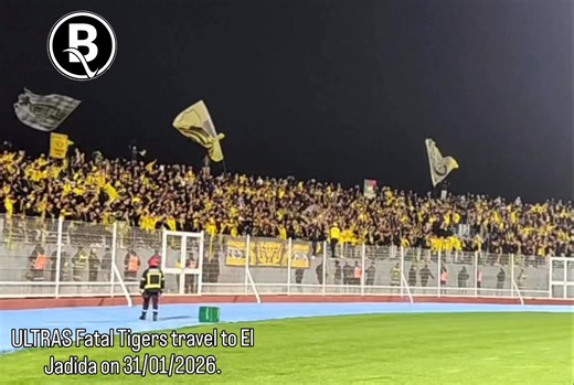 ULTRAS FATAL TIGERS travel to El Jadida on 31/01/2026. 💛🥶🔥🥀 | But & Victoire
