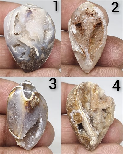 Gastropod Crystallized Fossil Shell Beautiful Gastropod Crystallized Fossil Shell Rare Gastropod Crystallized Fossil Shell for Jewelry - Etsy Canada