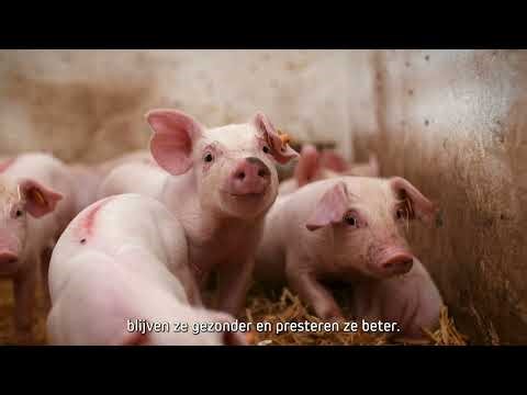 Synergy+: innovatief combineren van luchtwassers, warmteterugwinning en koeling - Zie omschrijving !