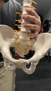 22 reactions | Have you had a BULGING DISC?  I am willing to bet that THIS simple movement is a problem for you. GET a BODY BLUEPRINT made. I work with people from all over the world via ZOOM. https://www.romfit.com/products/tbb Become a Better Human #lowbackpain | Range of Motion | Facebook