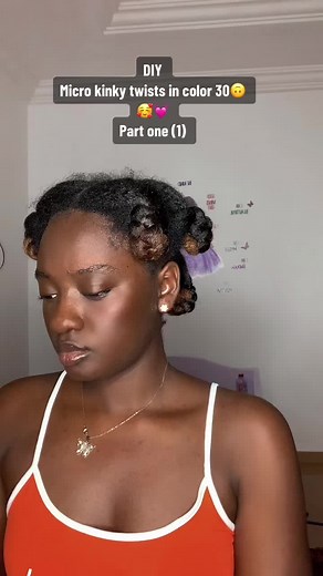 DIY Micro Kinky Twists in Color 30 Tutorial