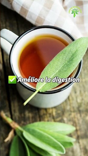 Sage (Salvia officinalis): A Plant with Exceptional Benefits!