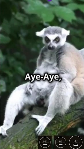 The Most Bizarre Animals on Earth 🦑 | You Won’t Believe These Exist!