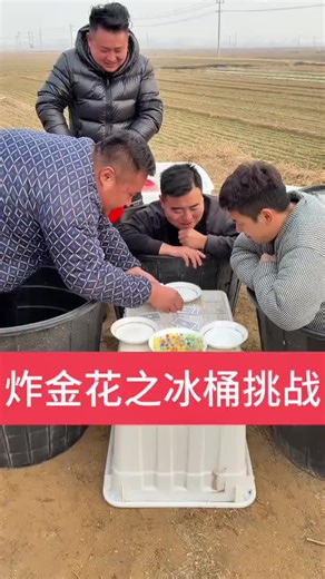 FunnyBros (@funnybrospicture)’s videos with original sound - FunnyBros