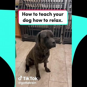 Refresh your day and explore videos to match all of your interests. | TikTok